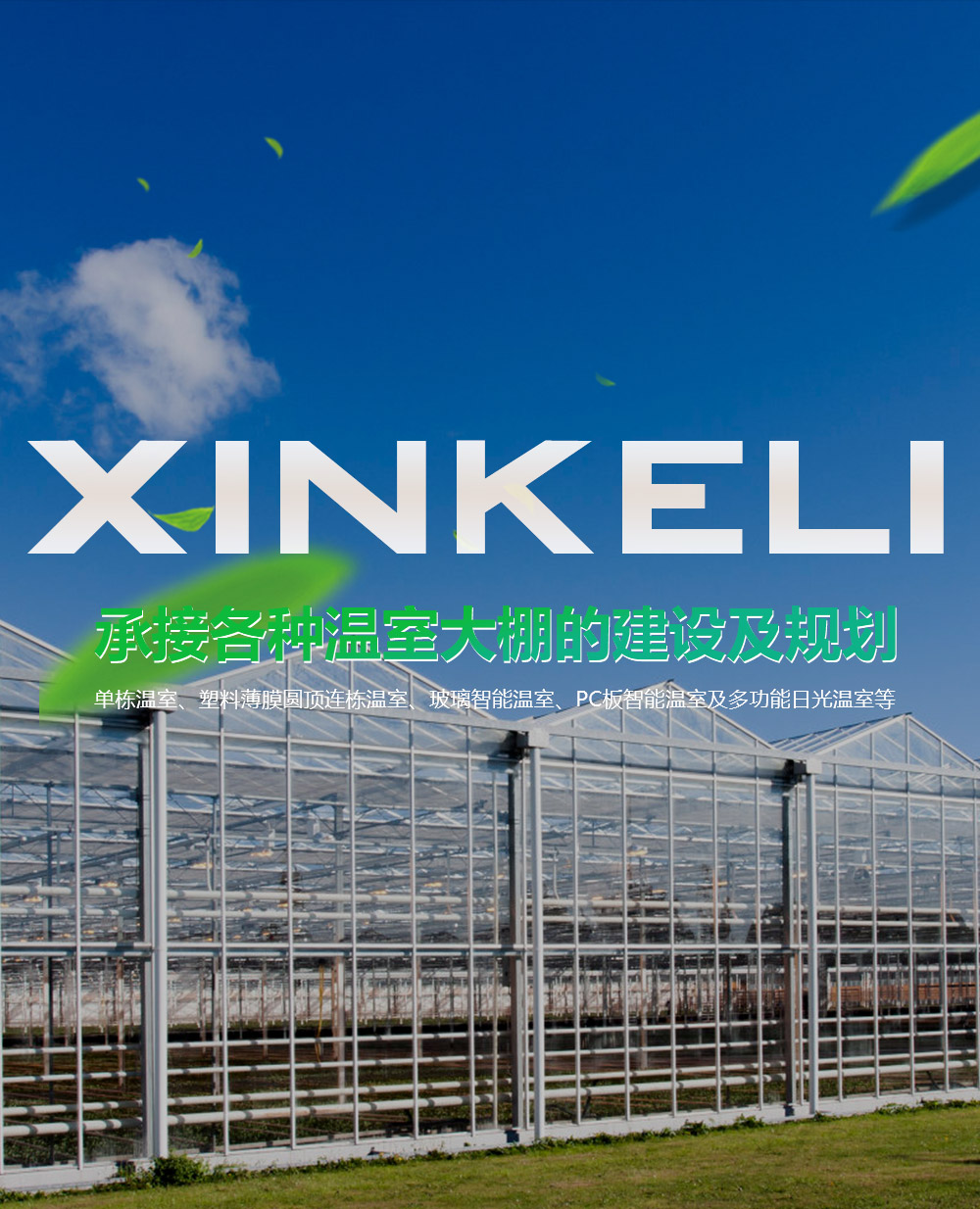 青州市舜華包裝有限公司